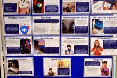 Wystawa przygotowana z okazji obchodów „Dnia Bezpiecznego Internetu”.