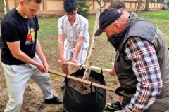 Trzech wychowanków bursy przenosi drzewo do dołka