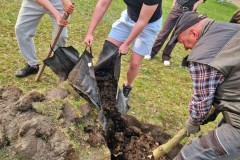 Dwóch wychowanków wyjmuje drzewo z osłony