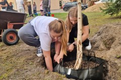 Dwie wychowanki rozcinają osłonę korzeni drzewa