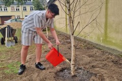 Wychowanek podlewa zasadzone drzewo.|| 