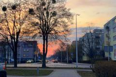 Chodnik i ulica miasta Ostrołęki. Czarne drzewa bez liści. Na niebie zachód słońca.