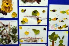 Wystawa prac plastycznych wychowanków wykonanych z jesiennych liści i innych materiałów naturalnych „Jesienne inspiracje”