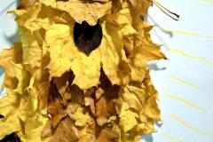 Na zdjęciu widać kotka wyklejonego z jesiennych liści w różnych odcieniach żółci i brązu